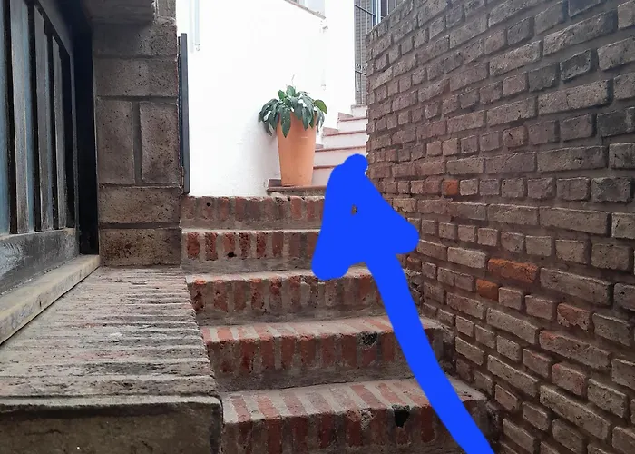 Reina Paz